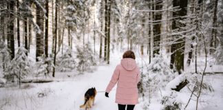 benefits of winter walking