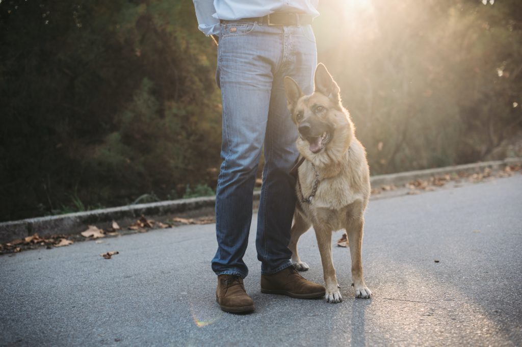 Warrior Canine Connection Asks Veterans to Volunteer