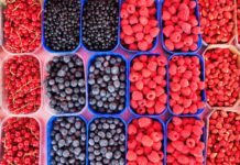 Where to Pick-Your-Own Berries in Montgomery County