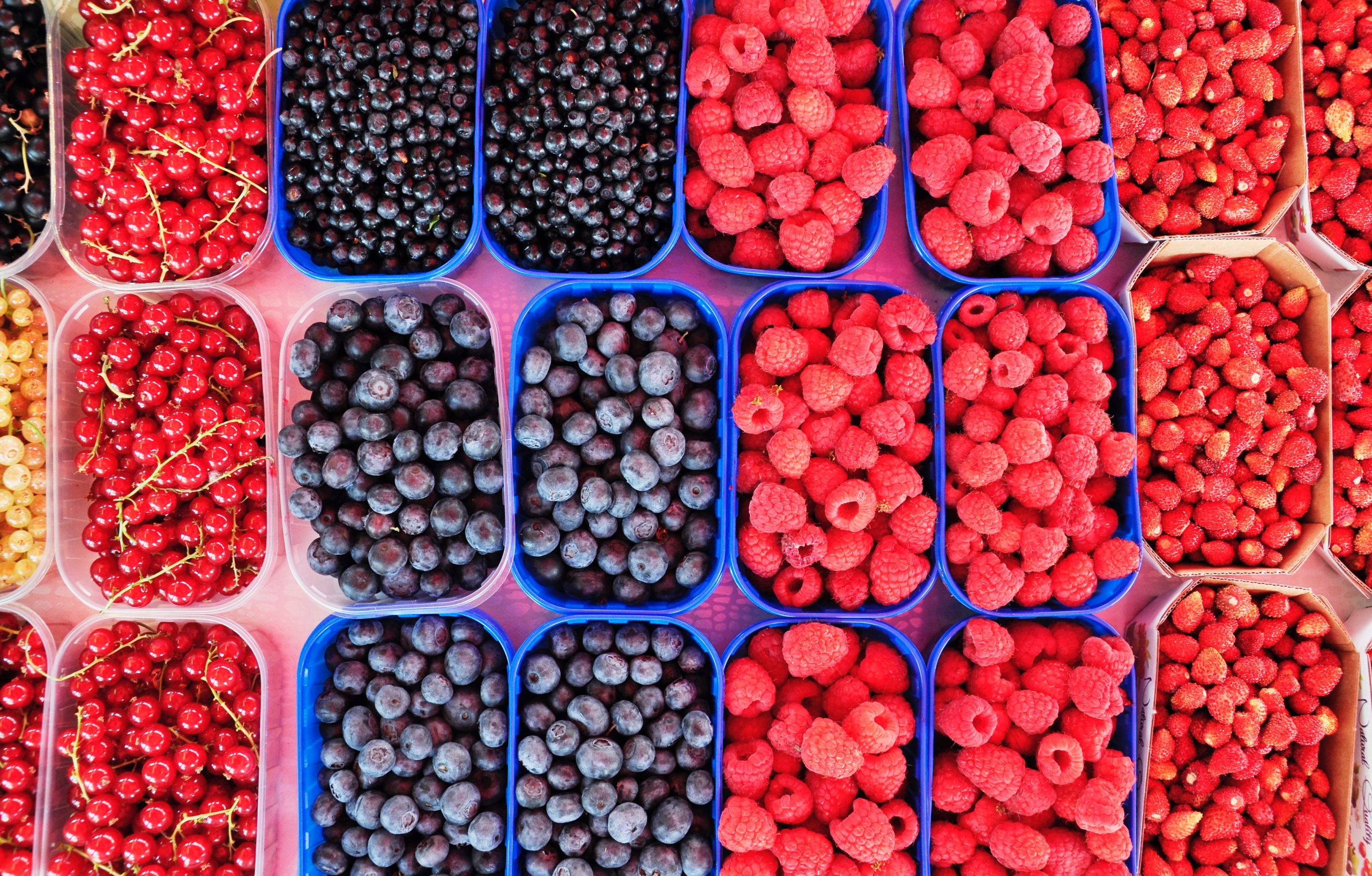 Where to Pick-Your-Own Berries in Montgomery County