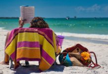 Summer Beach Reading Recommendations