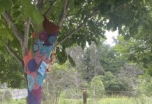 Wheaton Arts Parade Yarn Bombs at Brookeside Gardens