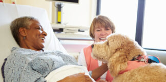 Stock photo of a goldendoodle meeting an older person lying in a hospital bed. There is a woman behind the dog with short hair.