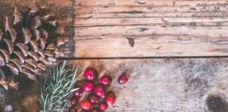 Stock photo of red berries, an evergreen tree clipping and two pinecones on a wooden table.