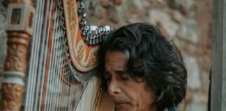 Stock photo of a man with chin-length brown wavy hair playing the harp.