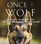 Library Anne Presents: The Pursuit of Happiness Going to the Dogs