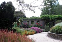 Fall Festival, Hiking and More: Nov. 8–9 Photo of a garden along a sidewalk. There are red, pink, orange and white flowers in bloom.