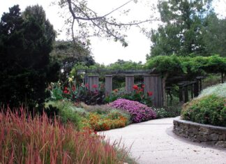 Photo of a garden along a sidewalk. There are red, pink, orange and white flowers in bloom.