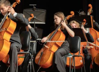 Live Music, Theater in MoCo: Jan. 30 to Feb. 1