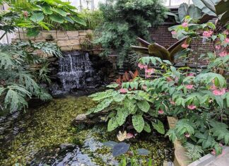 Garden Tour, Mardi Gras and More: Feb. 20-22