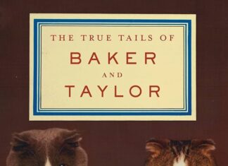 “Library Anne” Presents: 4 Books To Warm You Up