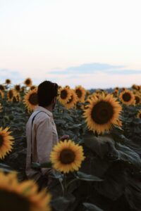 A man in a sunflower field