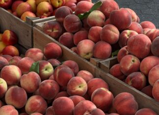 Things to Do This Weekend in Montgomery County (Aug. 21-23) Peaches
